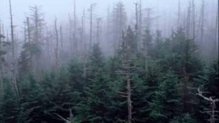 Adult Swim Bump - Acid Rain Mist