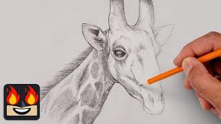 How To Draw a Giraffe | Sketch Tutorial