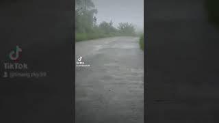 FOGGY ROAD to  SILVINO LUBOS N SAMAR ,Phippines ,posted  by Poll Cabuyao