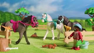 Playmobil | Pony Farm | Limited Edition | Horse Toys | AD