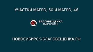 Новосибирский Академгородок. Мечты сбываются. Дом у леса. Атмосферно и экологично.