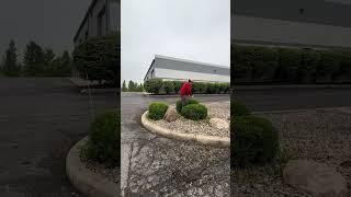 Trimming small bushes sucks #indiana #fypシ゚viral  #diy #lawn #grass #grasstok #landscaping #trimming