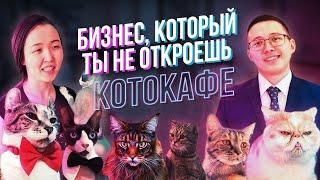 Бизнес который  не откроешь никогда. Антикафе с кошками. Котокафе