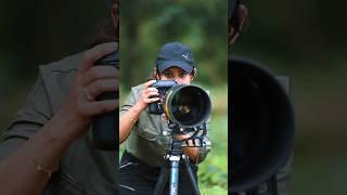 Eye to eye️️#wildlifephotography  #shortvideo  #nature #nikonz9 #aparupadey
