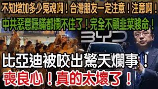 喪良心！真的太壞了！比亞迪被咬出驚天爛事！中共惡意隱瞞都攔不 住了！完全不顧韭菜賤命！不知增加多少冤魂啊！台灣朋友一定注意！注意啊！