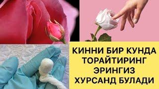 КИННИ БИР КУНДА ТОРАЙТИРИБ ЖИНСИЙ АЛОКАГА ТАЙЁРЛАНГ