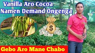 Vanilla Aro Cocoa Namen Demand Ongenga Gebo Aro Mane Chabo 