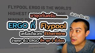 มาขุด ERGO ที่ Flypool.org (ethermine) กัน....จ่ายทุก 0.1 ERGO ถี่ๆ ทุก 1 ชั่วโมง แถม ค่าfee เป็น 0%