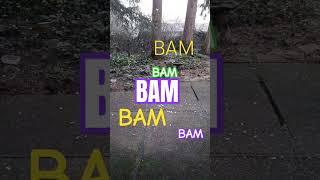 It's a Ghost Town Out There #funny #squirreltribe #BAM