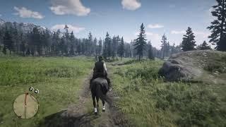 Red Dead Redemption 2 Epilogue - Cruel World - Willie Nelson