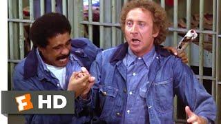 Stir Crazy (1980) - We're in Prison Scene (3/10) | Movieclips