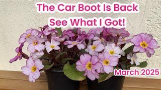 The Car Boot Is Back - See What I Got To Resell. UK Reseller Gentle Vlog. March 2025