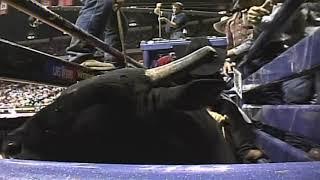 Scene of the Crash bucks Marcelo Cruz - 06 PBR Finals