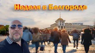 Специальный выпуск из Белгорода. 49/24