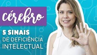 Cérebro - 5 Sinais de Atraso no Desenvolvimento