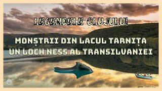 Monștrii din Lacul Tarnița : Un Loch Ness al Transilvaniei | Legendele Clujului