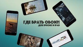 Обои для iPhone и iPad. Где взять крутые обои на ваш гаджет?