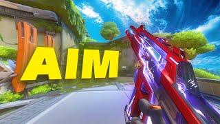 Raw Accel + Calm Aim