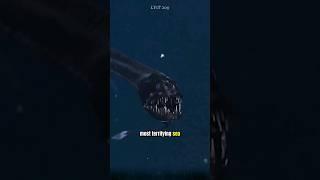 The Viperfish, the most terrifying sea monster of the ocean, that you may not know about. #viperfish