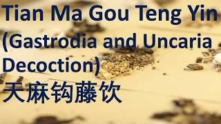 51 Chinese Herbal Formula, TCM - Tian Ma Gou Teng Yin (Gastrodia & Uncaria Decoction) 天麻钩藤饮-中医 中药 方剂