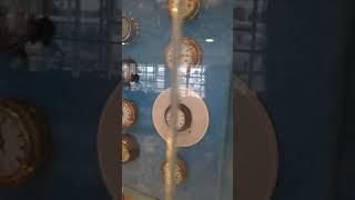 моя маленькая экскурсия по музею мирового океана.