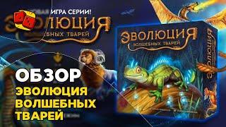 Эволюция Волшебных Тварей - обзор настольной игры от "Два в Кубе"