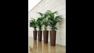 Beautiful Cement Concrete Planters by Agri Aqua Bd in Bangladesh.