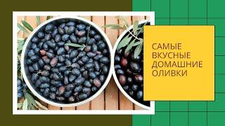 Самые вкусные домашние оливки!  Универсальный рецепт. И ТРИ супер-маринада на любой вкус.