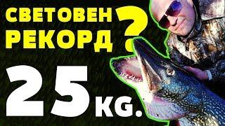 Българин СЧУПИ СВЕТОВНИЯ РЕКОРД ЗА ЩУКА 25кг /140см Record breaking Northern Pike