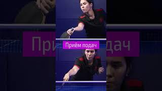 Приём подач. Анонс подробного видео #tabletennis #настольныйтеннис #pingpong
