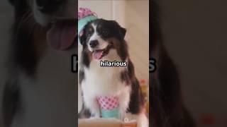 Pawsome Moments for Dog Lovers!