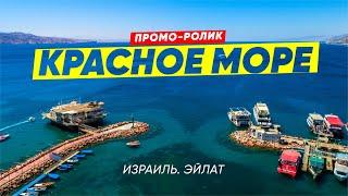 Промо-ролик Красное море Эйлата | Интересные места Израиля