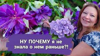 Ну почему я не знала о нем раньше?!