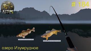 Судак: светлопёрый и канадский. Озеро Изумрудное. # 184.  Прохождение Atom Fishing II