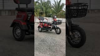 Electric 3 Wheel Bike Review 三轮电动脚车 -  StonBike Scooter Tricycle