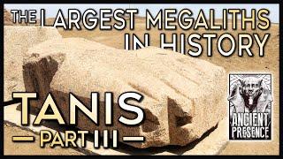 Tanis, Part III: Megalithic Origins