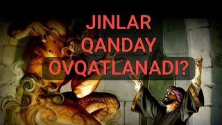 JINLAR QANDAY OVQATLANADI?#mistika#ruhiyat#qurbonliklar#ins-jinslar#mish -mishlar