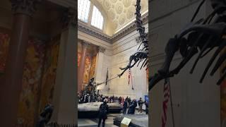 The American museum of natural history, NYC