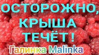 Ирина Костылева /Осторожно, крыша течёт /Обзор Влогов /