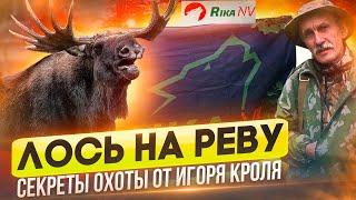 Охота на лося на вабу, на реву, гону! СЕКРЕТЫ самой интересной охоты в России от Игоря Кроля.