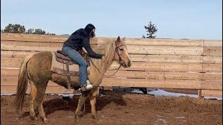 Coaching McKenna on Doris Day’s First Ride