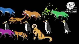 penguins wolves fox colors hares and fox collecion kids picture show