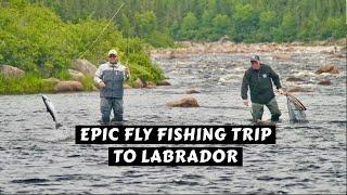 Epic Labrador Salmon & Trout Documentary | 90 Minute Special