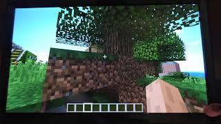 Забег по моему маленькому миру в игре minecraft.