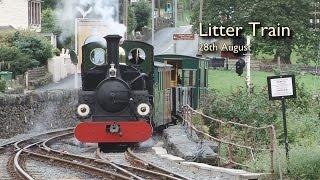 Litter train