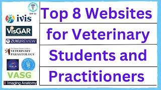 Top Veterinary Websites: A Vet's Best Friend Online