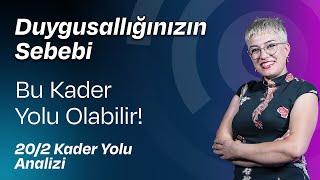 20/2 Tekamül Yolu, Çocuklarınıza Sevgi ve Şefkati Eksik Ederseniz..!!