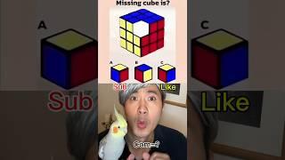 Which one is the missing cube?#funny #comedy