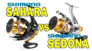 Shimano Sahara vs Shimano Sedona review and comparison