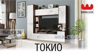 Выпуск 36. Мини стенка "Токио"